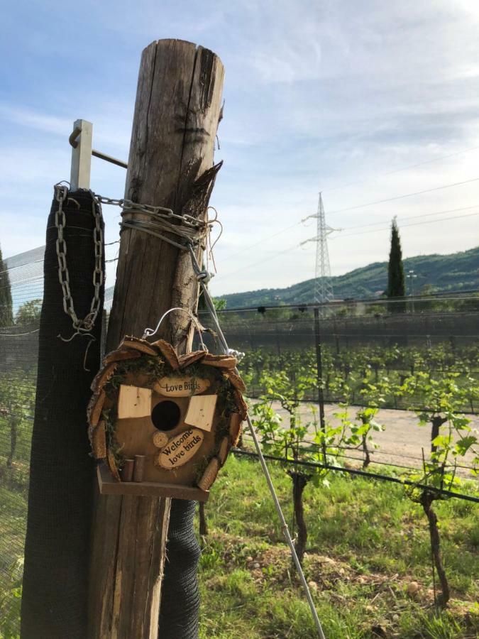 Maso Maroni Agriturismo 퀸토 디 발판테나 외부 사진