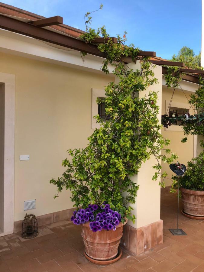 Maso Maroni Agriturismo 퀸토 디 발판테나 외부 사진