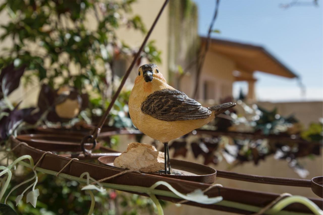 Maso Maroni Agriturismo 퀸토 디 발판테나 외부 사진