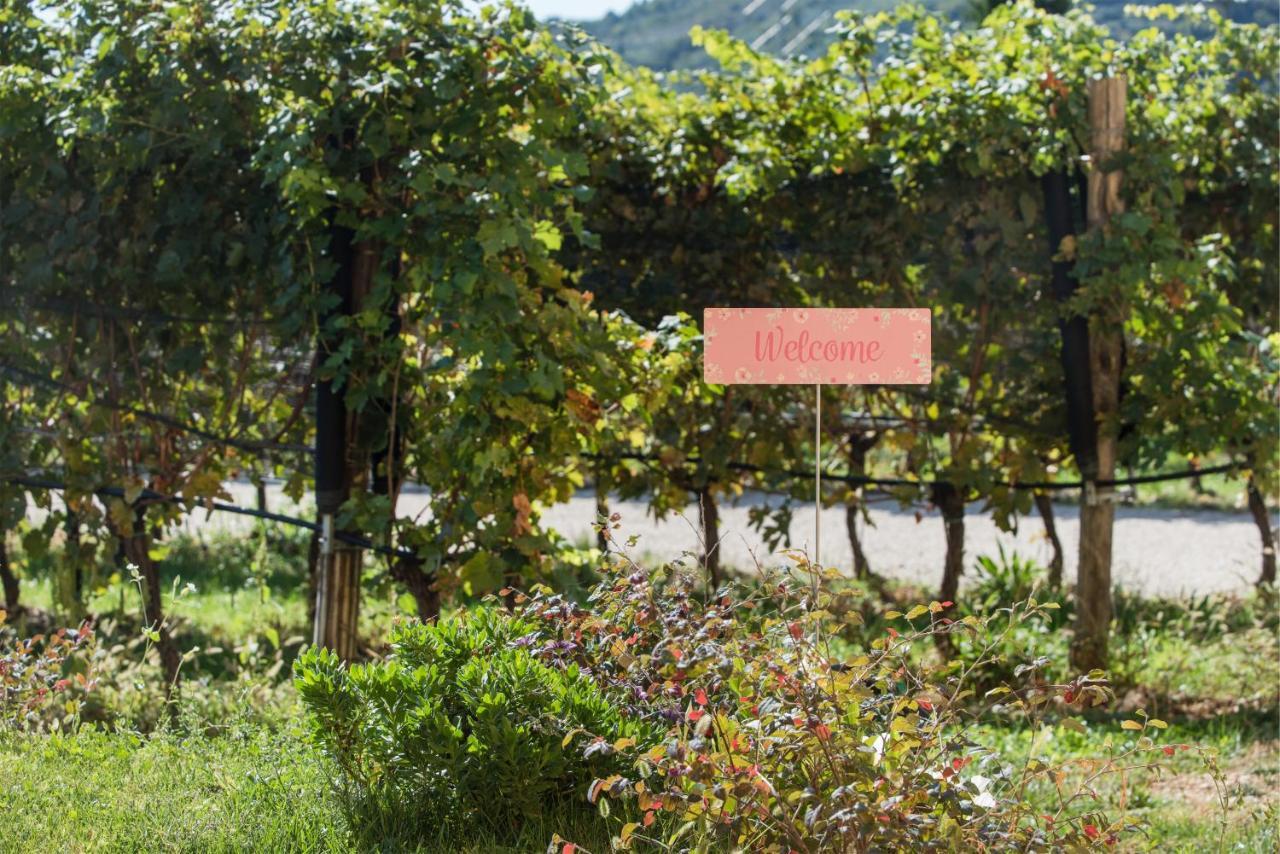Maso Maroni Agriturismo 퀸토 디 발판테나 외부 사진